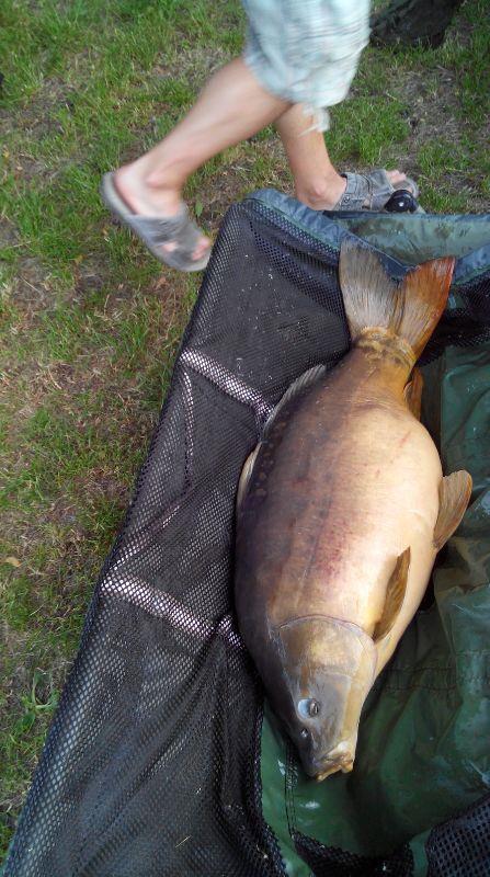 ISOLA DEL PESCATORE 7 - 8 iunie 2014 - img-20140607-wa0042.jpg